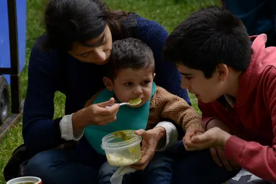 DSC_2606 (Large).JPG